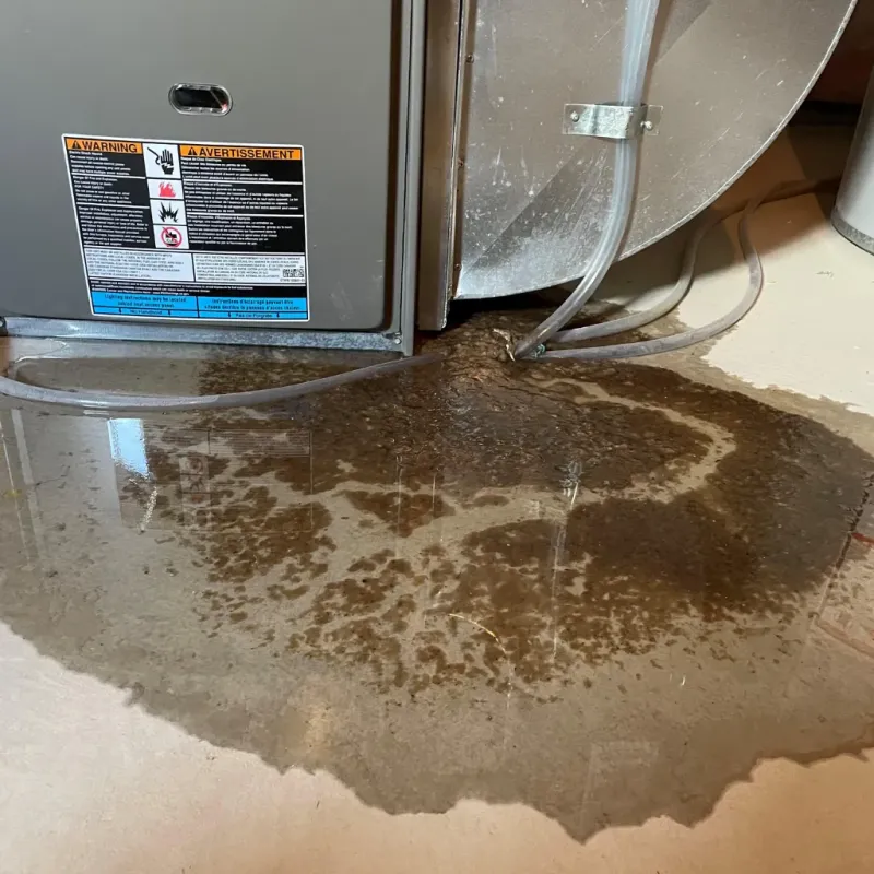 Appliance Leak Cleanup in Caldwell Parish, LA